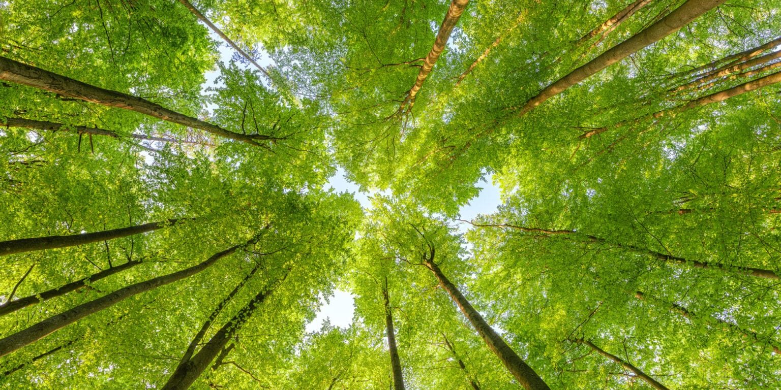 Vi tar bærekraft på alvor